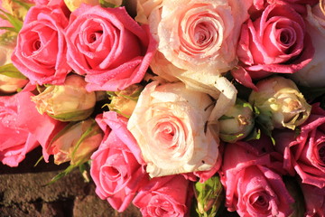 Mixed pink roses