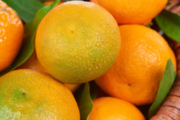 Fresh tangerines with leaves. Fruit background