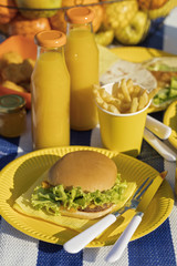 Summertime. A picnic on the beach. Burgers and pitas, vegetables