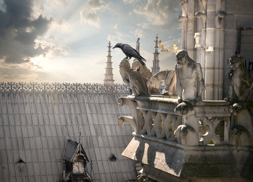 Chimeras on Notre Dame