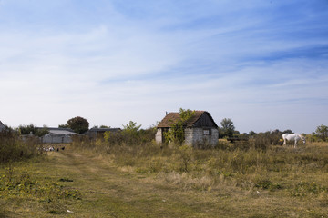Fototapeta na wymiar Rural landscape in autumn day