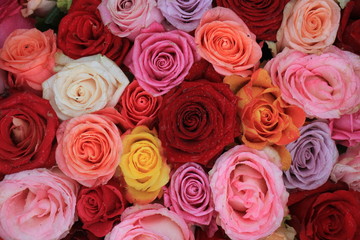 Obraz na płótnie Canvas Mixed wedding roses