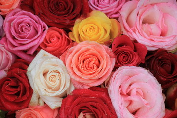 Mixed wedding roses