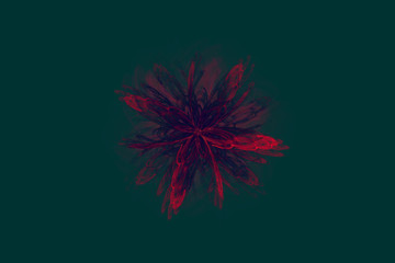 Red flower on dark green rectangular card - digitally rendered fractal design