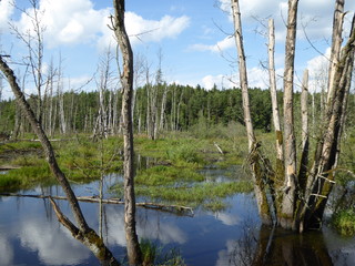 Landschaft in der n&ouml;rdlichen Oberpfalz - Tirschenreuth
