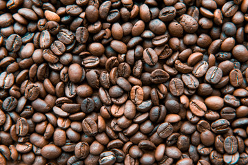 Obraz premium roasted coffee beans, can be used as a background