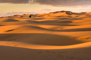 Sunset at the dunes of Hassi Labiad, Morocco