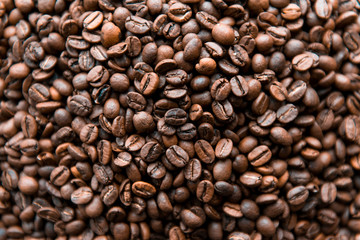 Fototapeta premium roasted coffee beans, can be used as a background