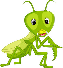 Praying mantis grasshopper cartoon

