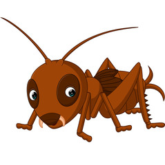 Cute cricket cartoon 

