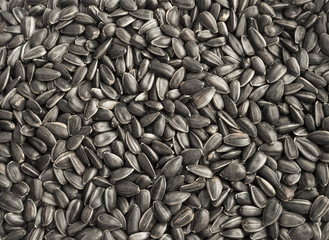 Black sunflower seeds background