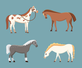 Cute horses in various poses vector design. Cartoon farm wild isolated horse and different silhouette of flat pony
