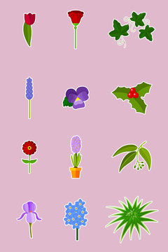 Flowers and plants - vector set