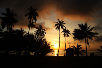 Obraz premium Coconut beach sunrise at Ang Thong archipelago island,Thailand.