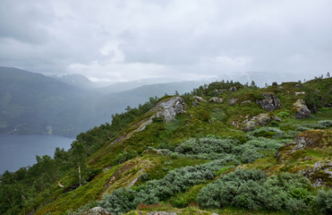 Fototapeta premium View over the luxuriant green covered mountainsides above Roeldslavatnet in Hardanger in Norway