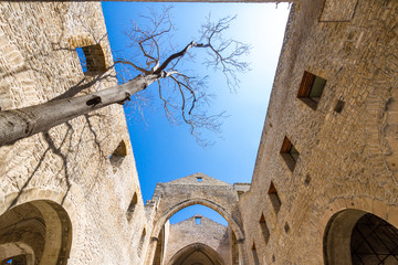 Santa Maria dello Spasimo roofless church in Palermo, Italy