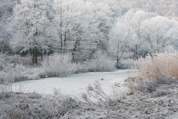 Freezing cold landscape
