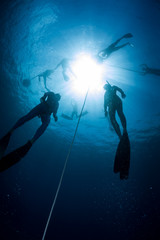 Fototapeta na wymiar Free divers training in the tropical sea, Bali, Indonesia