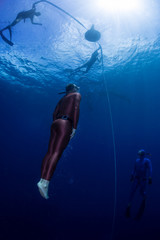 Underwater shot of the ascending free diver. Free immersion discipline