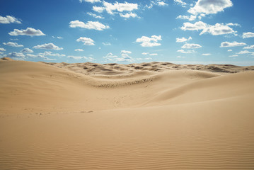 Fototapeta na wymiar The desert at noon