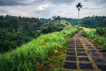 Fototapeta na wymiar Tile walkway through a hills with green meadows