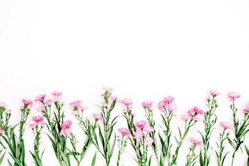 Pink wildflowers on white background. Flat lay, top view. Creative nature concept