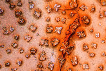 microcrystals in dried dyestuff