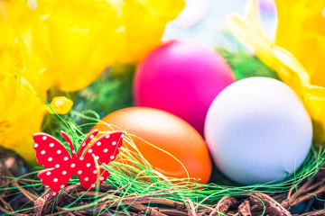 Spring nest with painted eggs