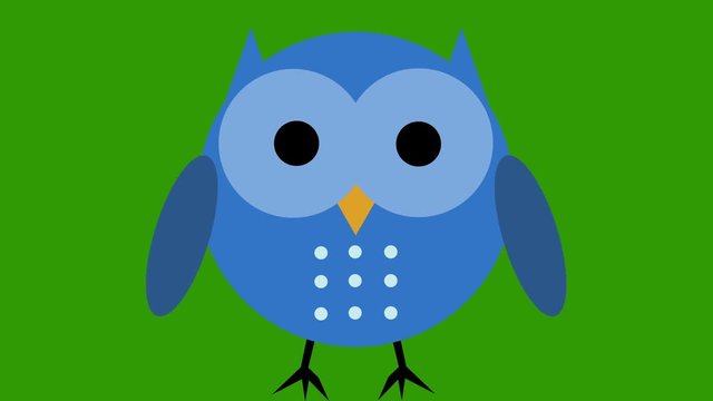 Comic cartoon cute owl animation green screen cut out loop blue