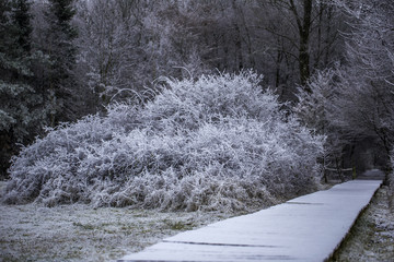 Schneebedeckter Holzsteg im Wald 