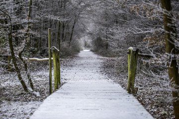Schneebedeckter Holzsteg im Wald 