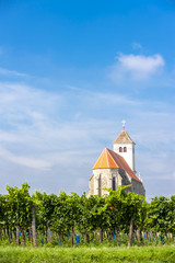 church with vineyard, Kirchenberg, Lower Austria, Austria
