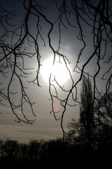 Sonne