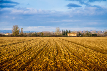 Fototapeta na wymiar Ploughing in Tuscany