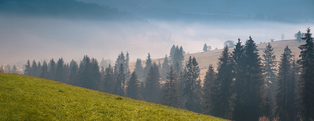 Wide panorama of foggy mountain range in sunrise beams. Morning sun rays through the fog over mountain slopes, covered with spruce forest.