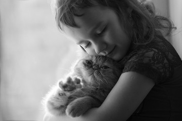 girl with a cat on the window