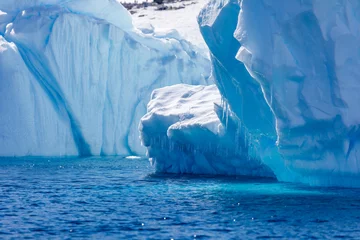 Foto op Plexiglas IJsberg op Antarctica © Bloody Orange