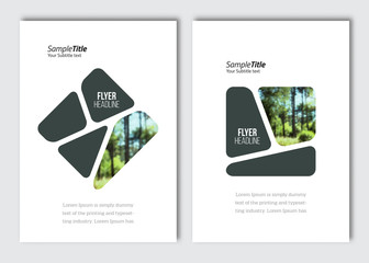 Flyer layout template. Vector brochure background with elements for magazine, cover, poster, layout design. A4 size.