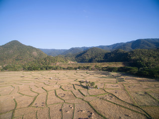 Rice field after harvestes season by aerial view from drone, Lampang, northern Thailand