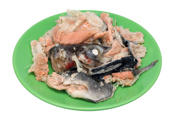 Boiled salmon lie on a green ceramic plate