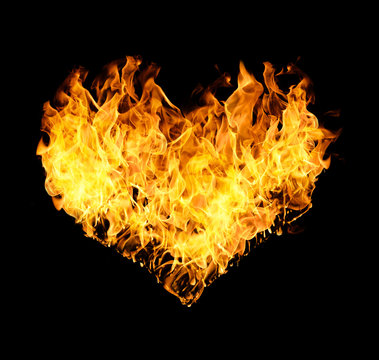 Fires flames in heart shape isolated on black background.