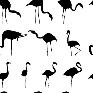 Silhouette of flamingos seamless pattern black white