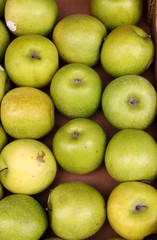 Green apples