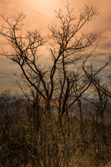 Obraz na płótnie Canvas Sunset Blue Ridge Parkway North Carolina