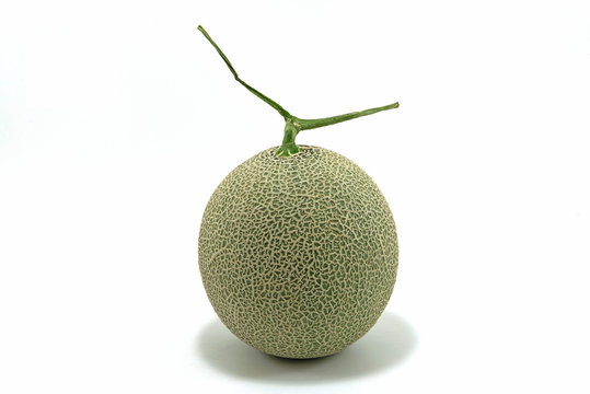 Melon on white background.