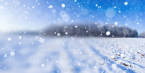 Winter forest in snow blurred background