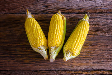 Fresh sweet corn