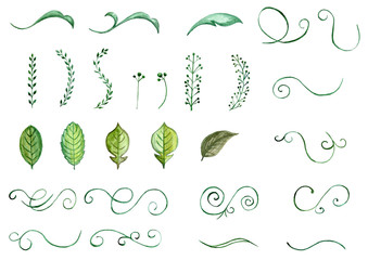 set of watercolor leaves and curls