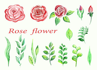 set of watercolor flowers and leaves