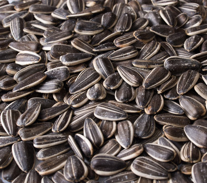 Background of sunflower seeds